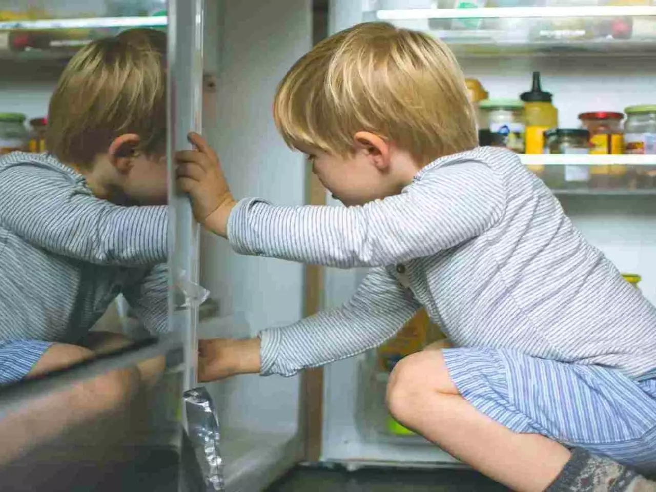 Why Investing in Quality Bottom Freezer Refrigerators Pays Off
