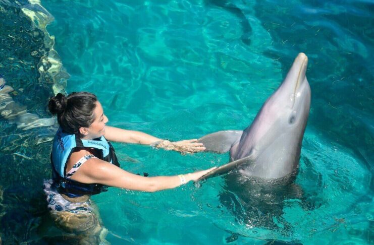 Swim with Dolphins in Cancun at Dophinaris