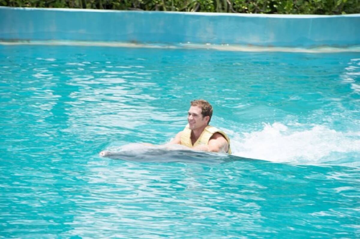 Why Swim with Dolphins in the Riviera Maya