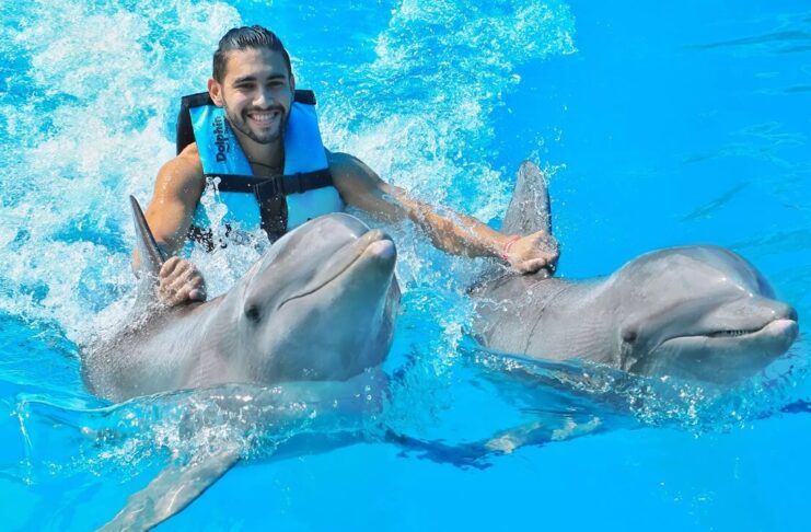 Experience the Joy of Swimming with Dolphins in St. Kitts