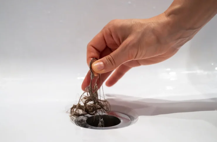 The Hidden Connection Between Blocked Drains and Pest Infestations